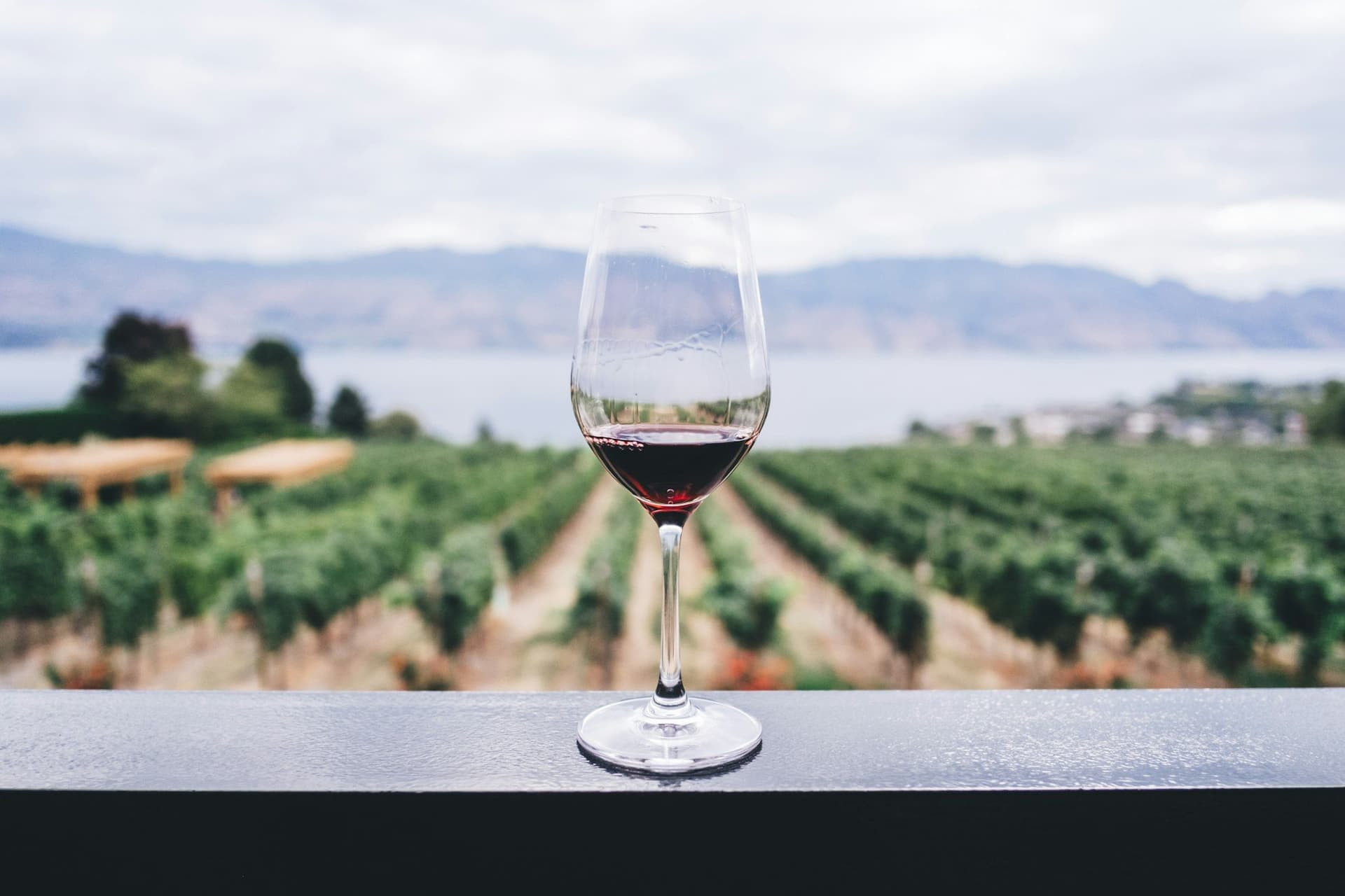 Degustazione